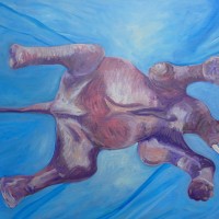 Survival Float (2015) • 16"x20" • Oil on Canvas • $3650